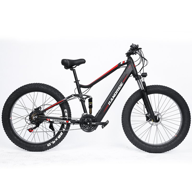 DAYLYRIDE high quality 1000w electric mountain bike 750w 500w MTB