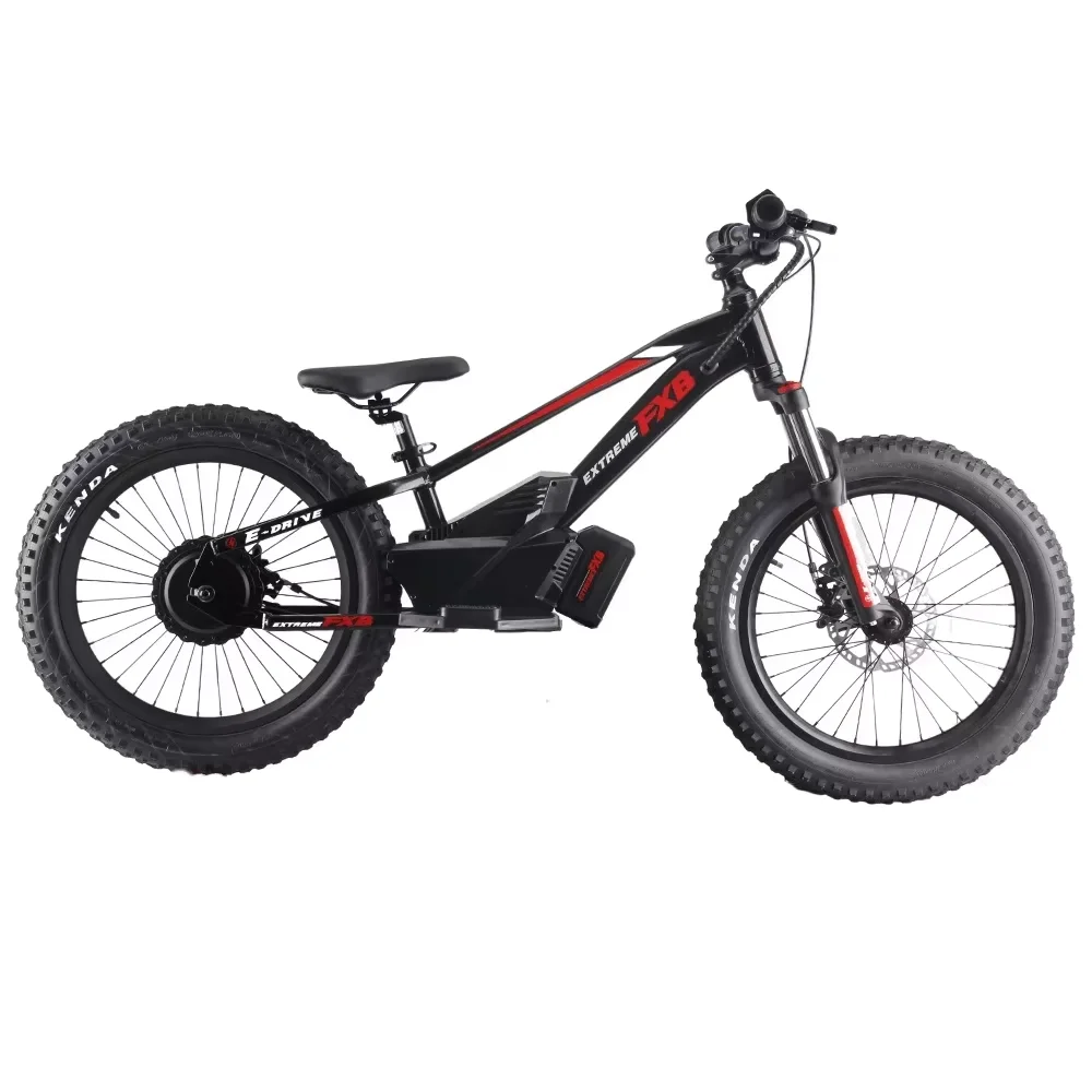 2025 new model Electric Balance Bike with 20-Inch off road bikes Removable Battery bikes