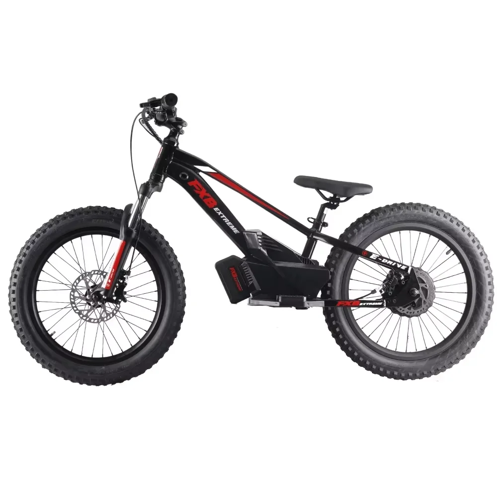 2025 new model Electric Balance Bike with 20-Inch off road bikes Removable Battery bikes