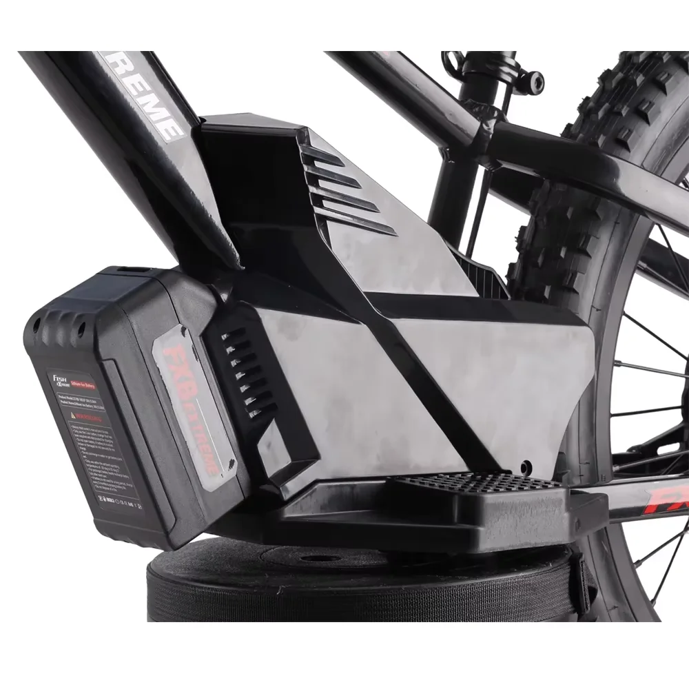 2025 new model Electric Balance Bike with 20-Inch off road bikes Removable Battery bikes