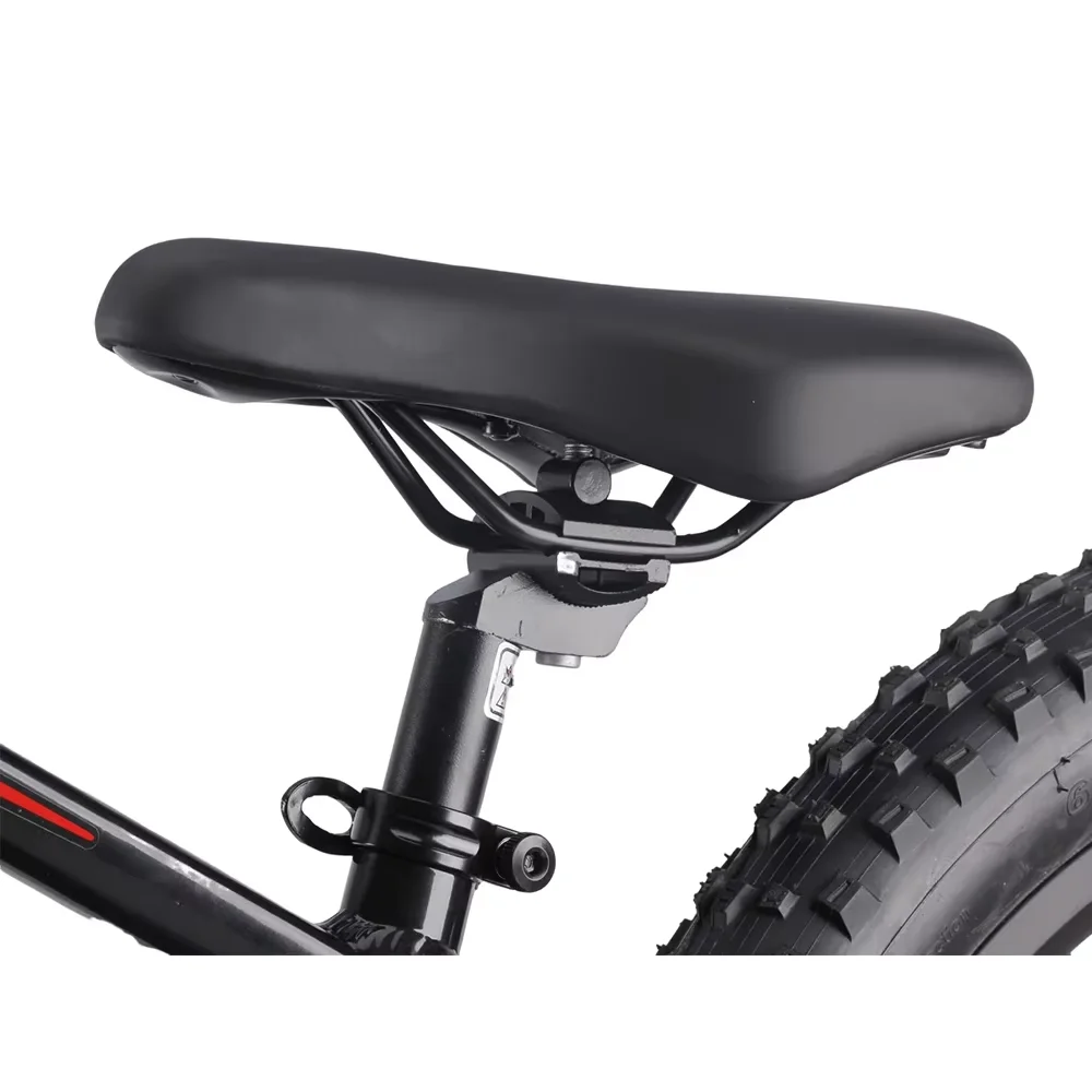 2025 new model Electric Balance Bike with 20-Inch off road bikes Removable Battery bikes